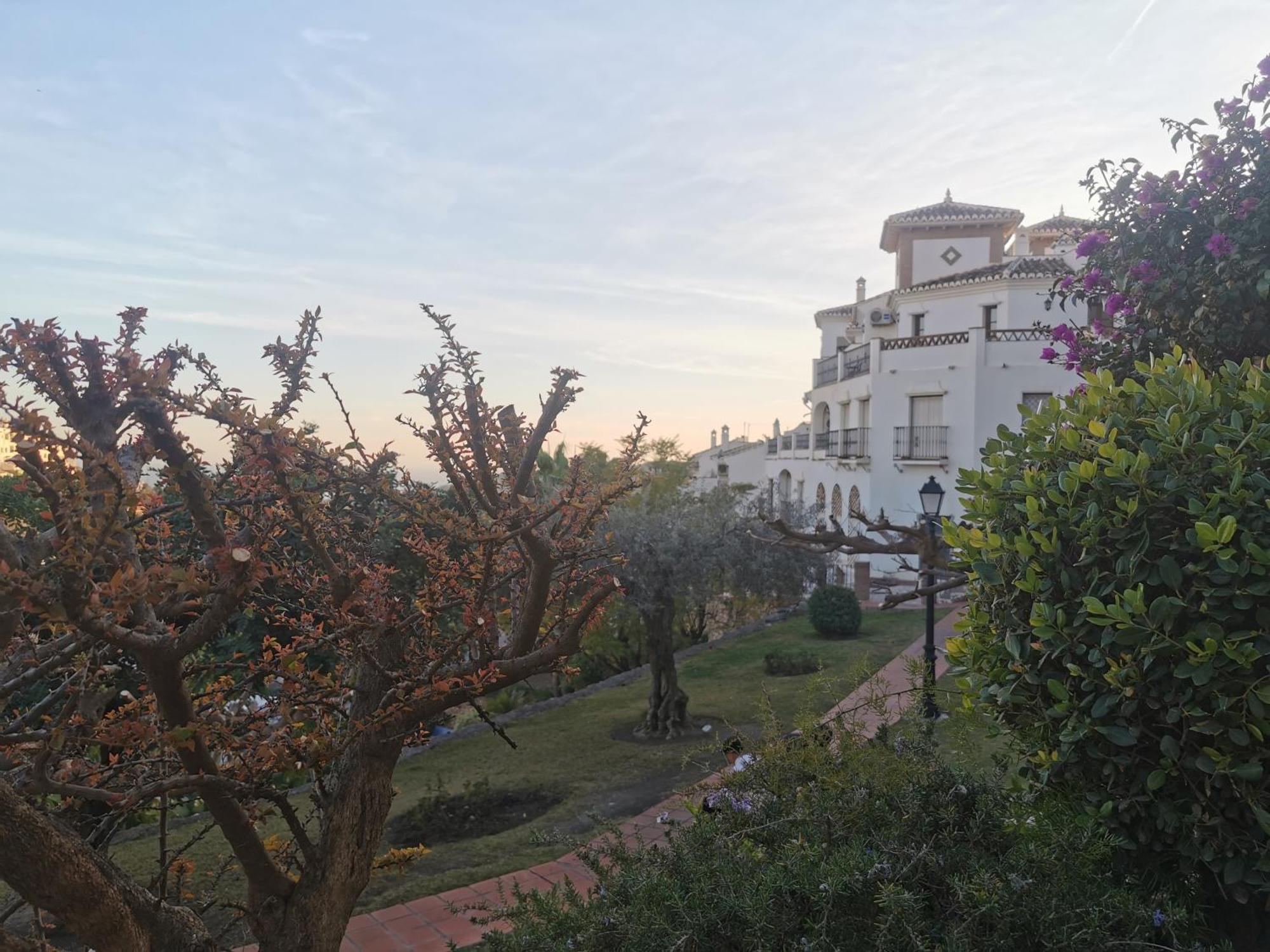 Apartamento Maria Platero Centrico Y Con Las Mejores Vistas Del Casco Antiguo La Montana Y El Mar Mediterraneo Фрихилиана Экстерьер фото